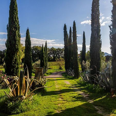Agriturismo Bio Fattoria Casetta Гаворрано Экстерьер фото