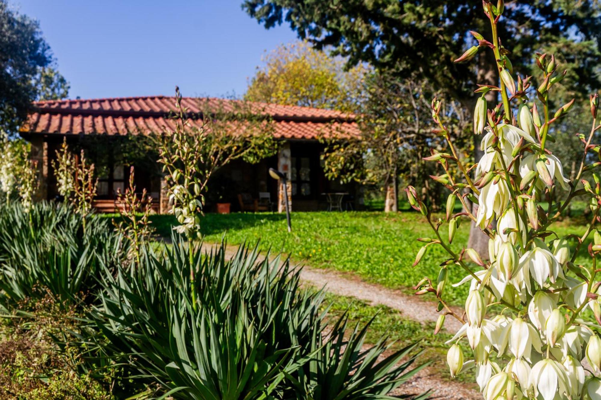 Agriturismo Bio Fattoria Casetta Гаворрано Экстерьер фото